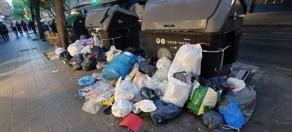 El PSOE Palma denuncia l’estat d’abandonament de Palma i que la ciutat està cada vegada més bruta