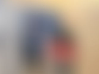 El PSOE Palma exige que Cort y el Govern se disculpen tras acusarlos de mentir en relación a la promoción de ultralujo de es Jonquet