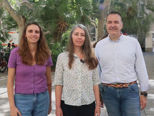 Las izquierdas exigen al alcalde que aplique de una vez por todas medidas para adaptar Palma al cambio climático ante su inacción