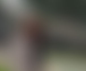 El PSOE Palma, preocupat per com s’està organitzant el mercat de Nadal de Sa Faixina