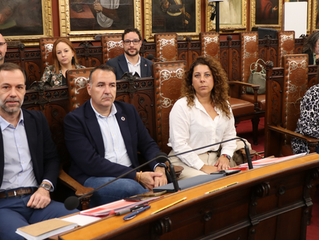 El PSOE denuncia que ni el batle ni el 99 per cent dels 56 als càrrecs de Cort compleixen amb la Llei de Transparència