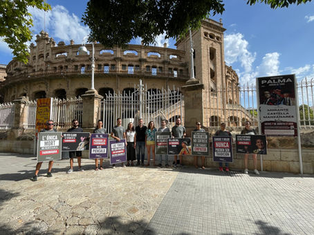 Els socialistes de Palma denuncien l’accés de menors a corregudes de bous per primer cop a Palma des de 2017