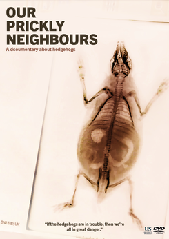 DVD Cover FINAL copy.png