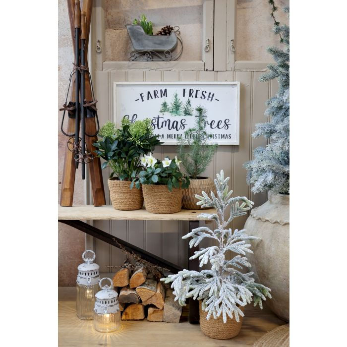 Miniaturbild: Schild: Weihnachten