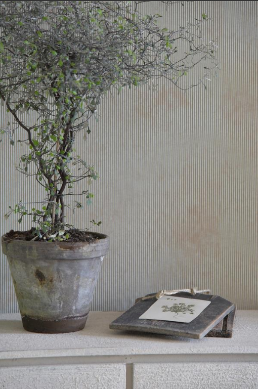 Wandtapete  Stripes dusty green 10M - wallpaper