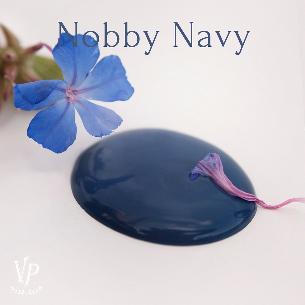 Vintage Paint Nobby Navy