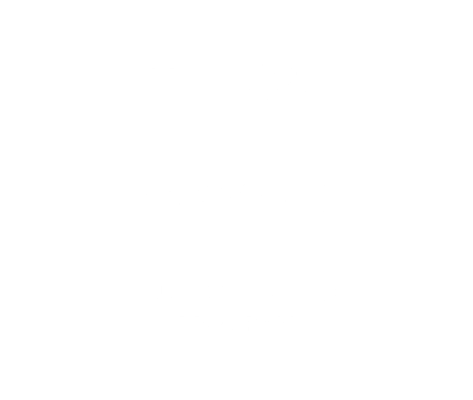 Hubspot Provider Badge