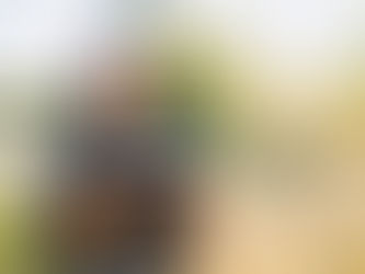 Provérbios 13 - Estudo de Provérbios