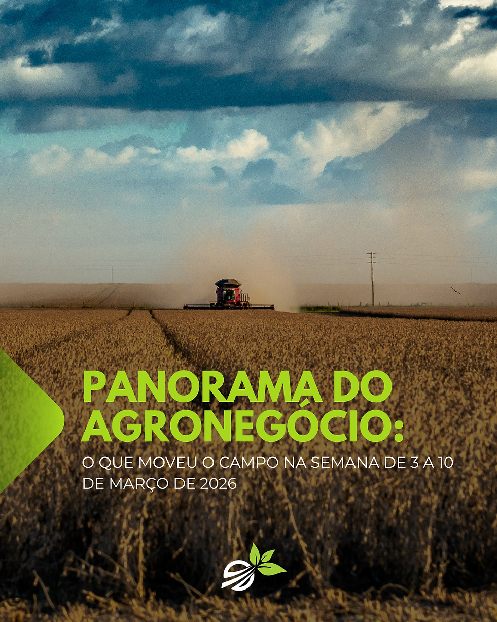 PANORAMA DO AGRONEGÓCIO:O QUE MOVEU O CAMPO NA SEMANA DE 3 A 10 DE MARÇO DE 2026