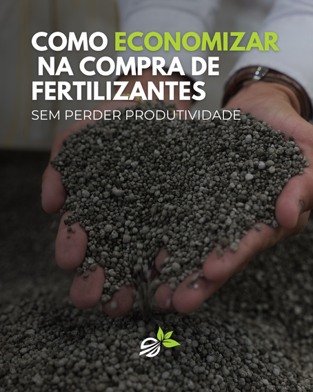 Fertilizante - TSP - Adubo - Como Economizar na compra de Fertilizante