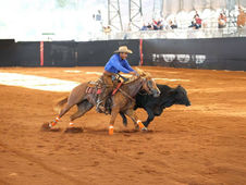 Congresso da ABQM movimenta mais de R$ 55 milhões e impulsiona a economia de Araçatuba