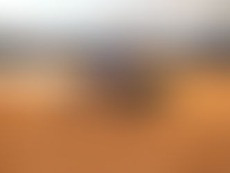 Congresso da ABQM movimenta mais de R$ 55 milhões e impulsiona a economia de Araçatuba