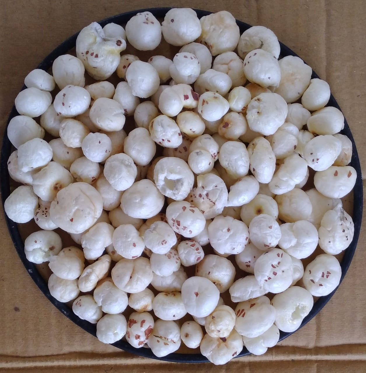 Makhana 6 Suta (19.68 to 24+mm)