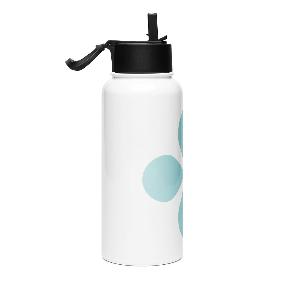 Thumbnail: NANO stainless steel water bottle with straw