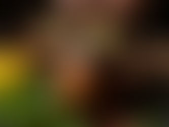 Ayurveda for Chronic Conditions