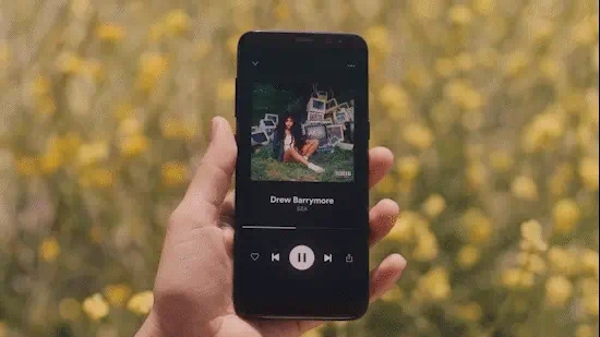 spotifyfield2-ezgif.com-optiwebp-2.webp