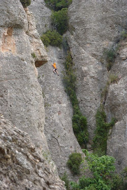 P1080384 [1024x768].JPG