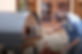 Single-Chamber-Lifestyle_800x_6e1fa392-5f6b-44ce-893a-7eeadbe3b581_1200x.jpg