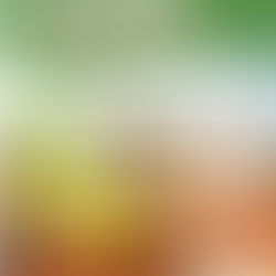 Neu: Vereinsmagazin "Das Kleeblatt" 