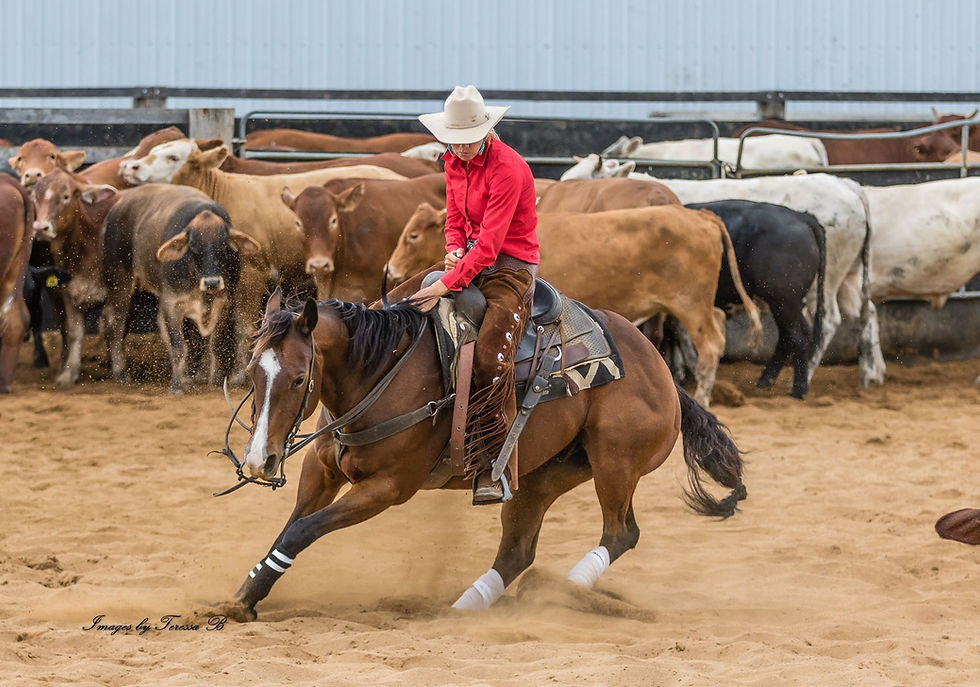 Julieann showing a cutting horse