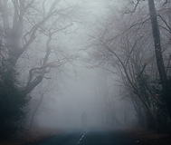 The First to Die Book Cover (3).png