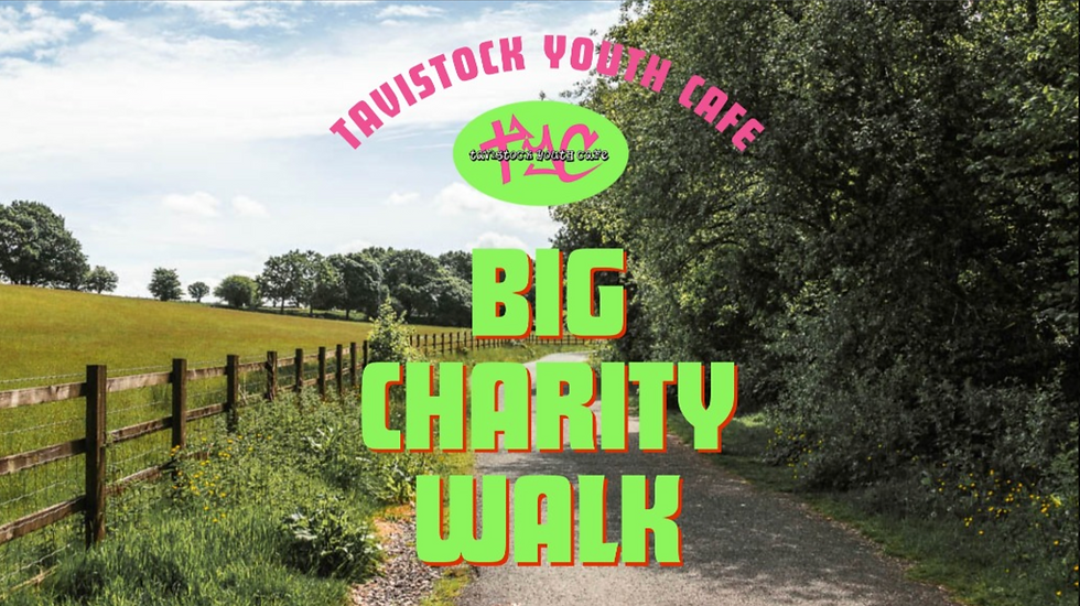 BIG Charity Walk Fundraiser