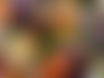 10 Tips to Stay on Track During the Holidays