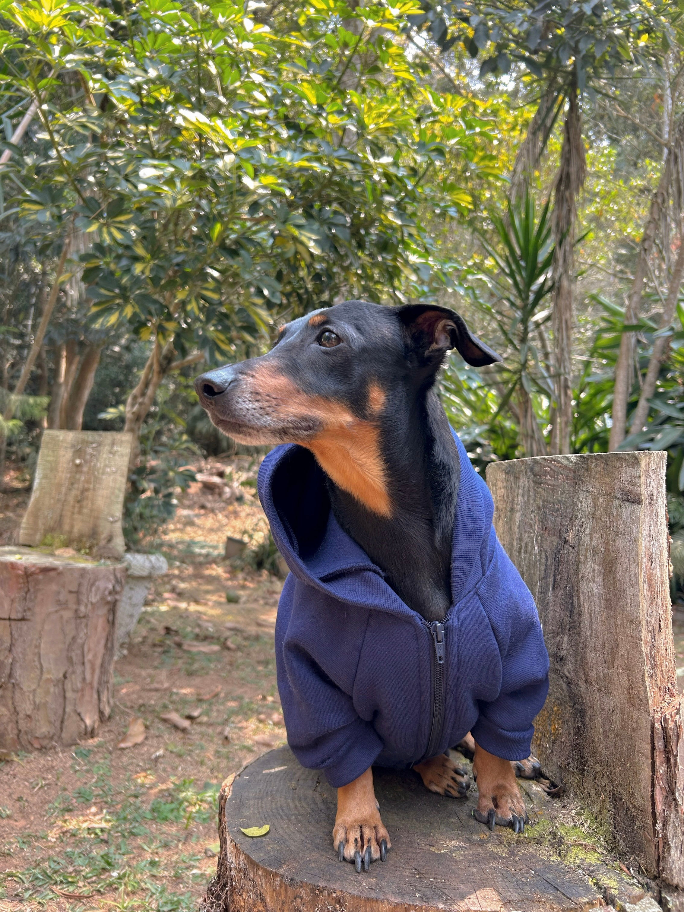 Jaqueta Urban - Style