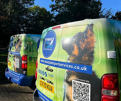 WhatsApp Image 2025-09-21 at 07.45.07.jpeg