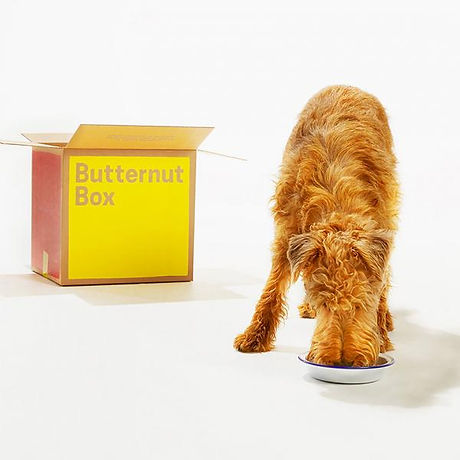butternut box offer