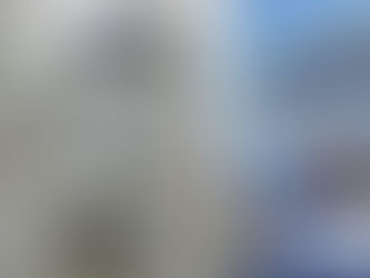 "Hoy era el día de nuestra boda", la historia de doctores ecuatorianos que luchan contra e