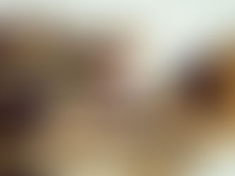 La serpiente más grande que haya existido en el planeta fue descubierta en Colombia