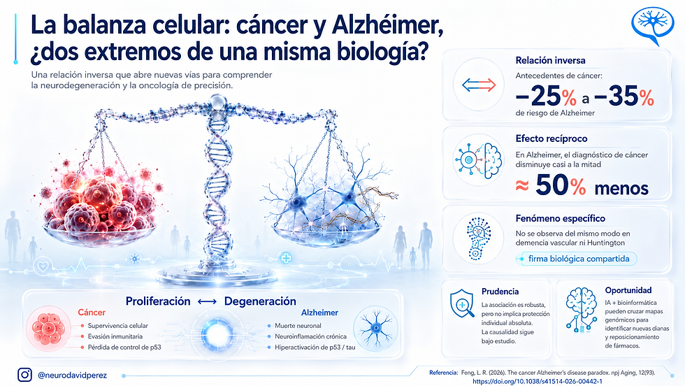 infografia sobre al relacion entre cancer y alzheimer y como pueden er fenomenos biologicos relacionados