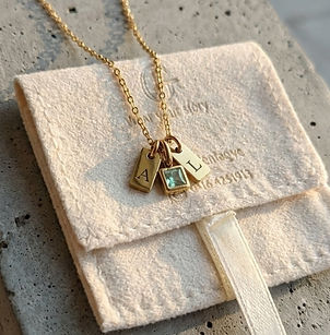 Mini Tag 10 (Double) + Birthstone Necklace