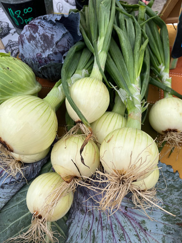 West Rock Family Farms photo