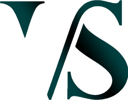 VSI New logo.png