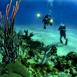 El mate de los Guardiamarinas