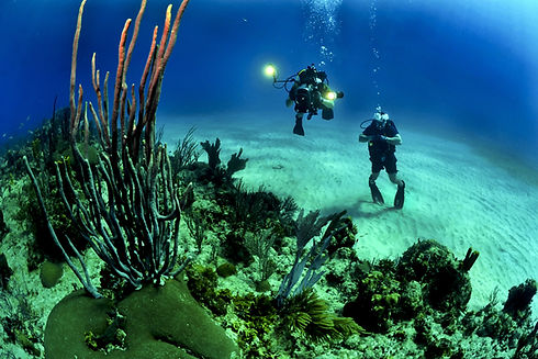 Divers with Flashlight