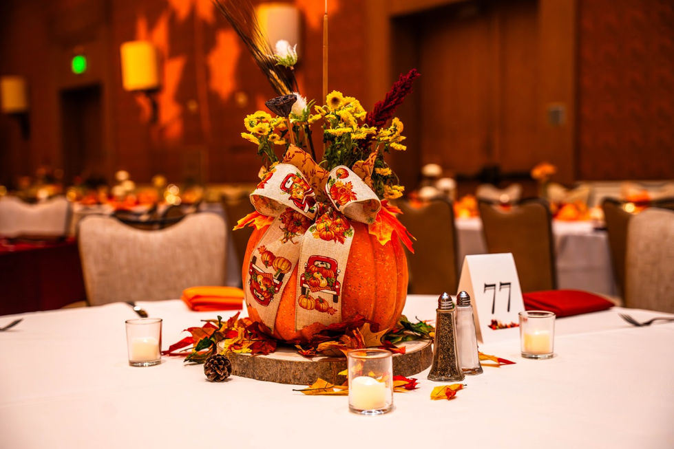 DSC03362-Enhanced-NR Large.jpeg