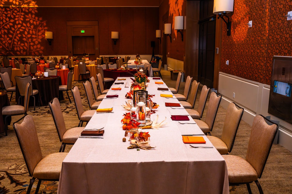 DSC03412-Enhanced-NR Large.jpeg