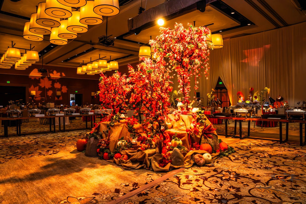 DSC03388-Enhanced-NR Large.jpeg