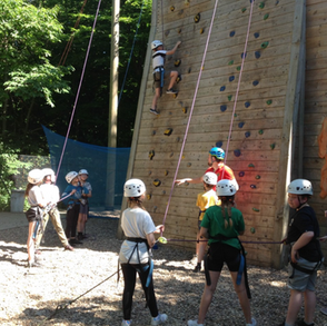 Hello from Thriftwood!