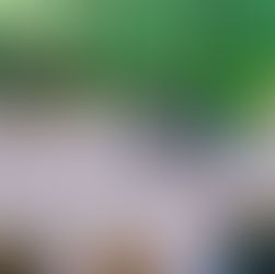 Basketball Competition