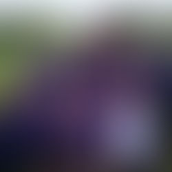 Tri-Golf competition