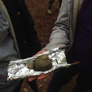 Year 4 Thorndon Country Park