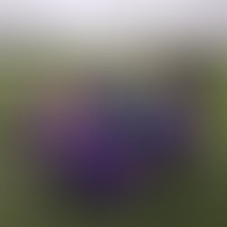 KS1 Football tournament