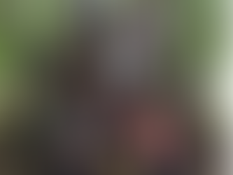 Thriftwood - Day two