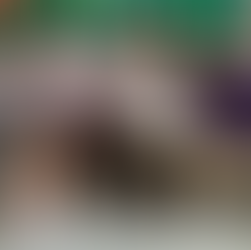 Celebration Assembly - 19th November 2021