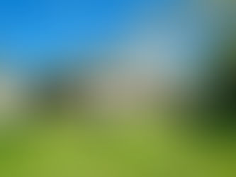 From Strategy to Celebration: Making the Most of Your Sequoia Estate Retreat