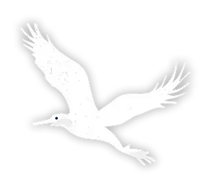 Blue Heron Logo copy 2dddd.webp